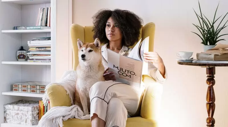 Dedetização de pulgas em São Paulo – Solux